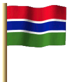 The Gambia Nursing Council